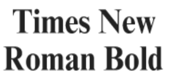 Times New Roman Bold